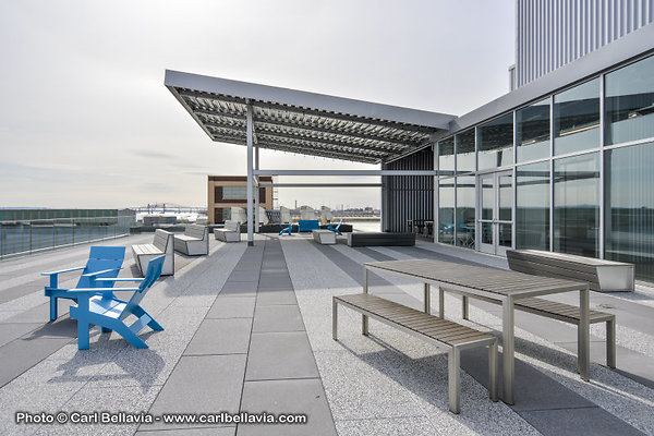 Roof 8244-LD 009