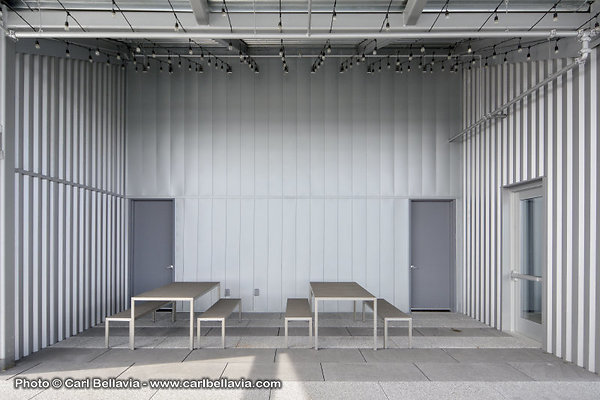 Roof 8244-LD 008